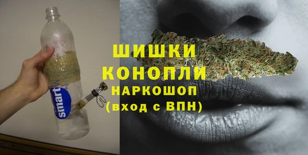 стафф Аркадак